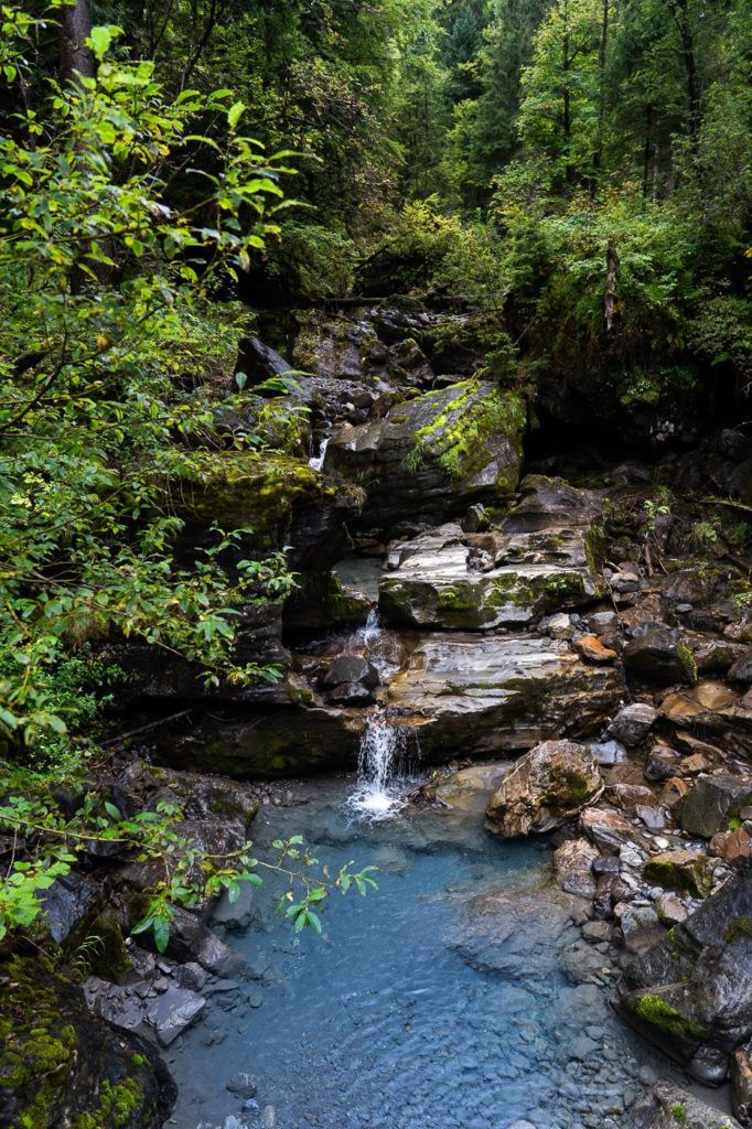 a stream running through a lush green forest.