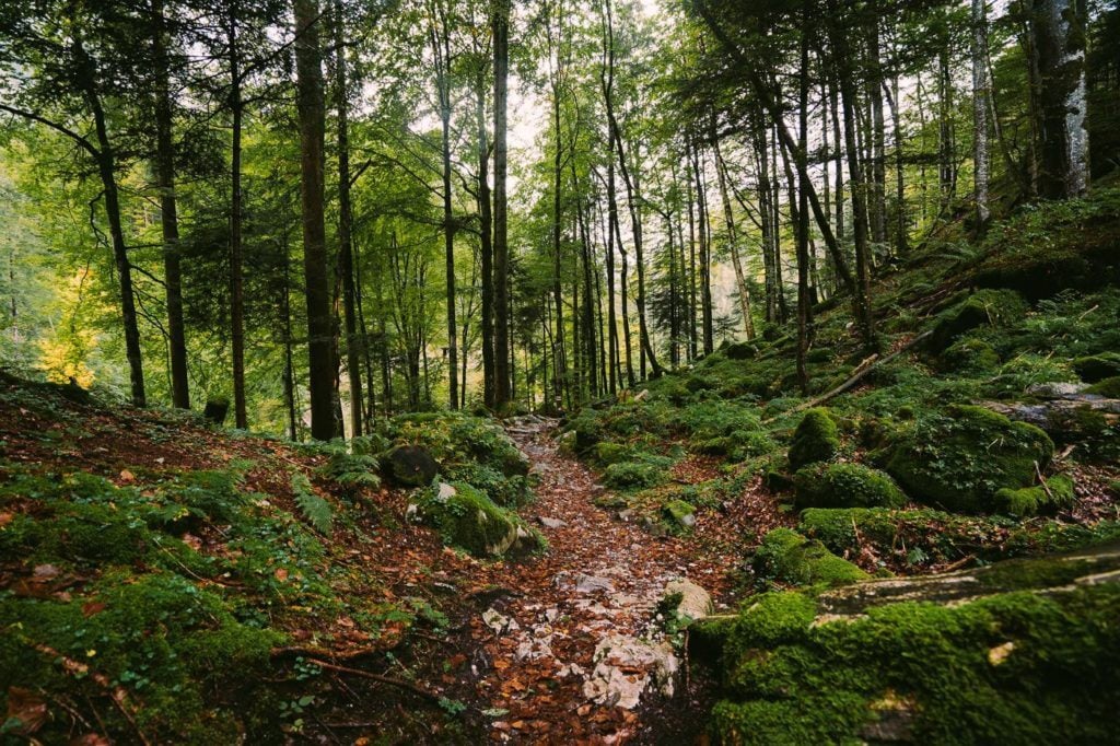 hikes in switzerland