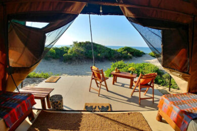 A couple of chairs in an eco lodge tent in Sri Lanka.