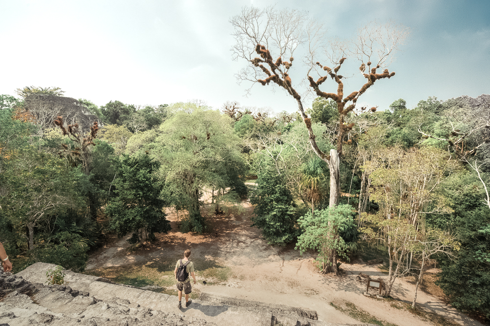 a man standing on top of a rock next to a forest.
