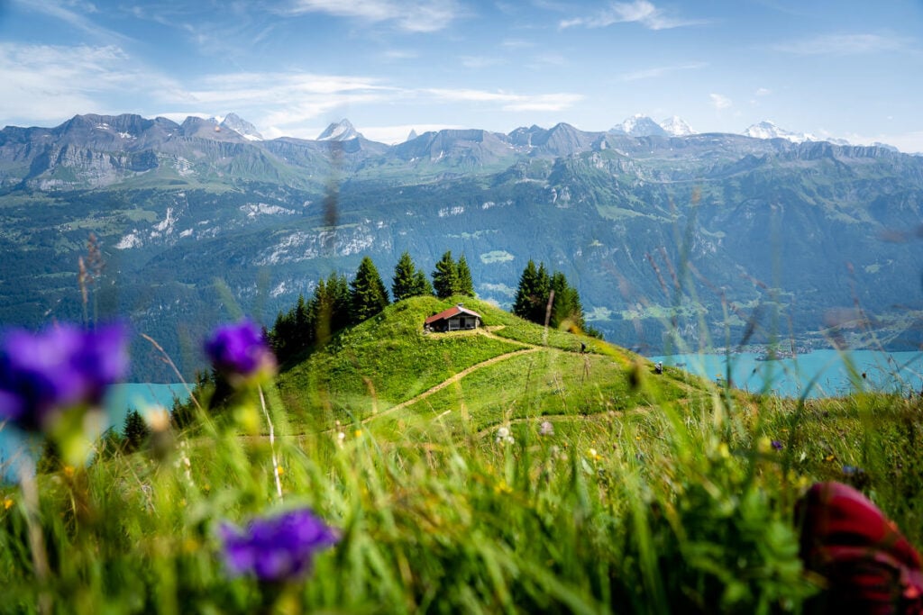 a grassy hill with a house on top of it