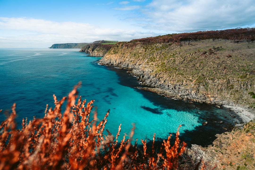 a view of the ocean from a cliff.
