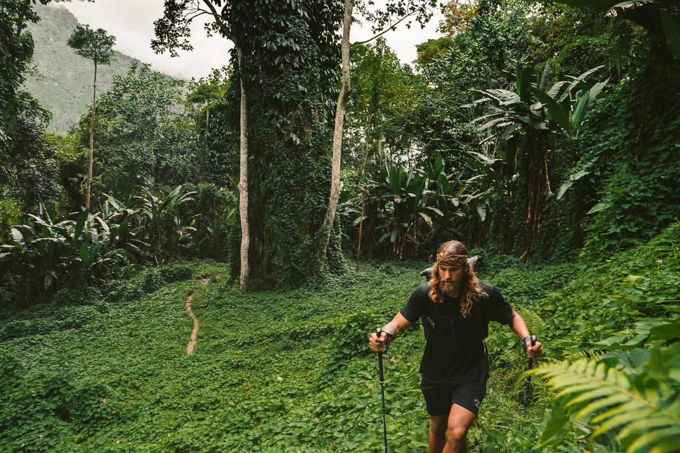a man walking through a lush green forest.