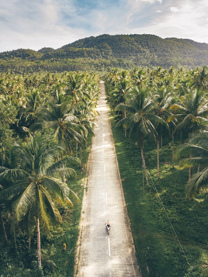 a person riding a bike down a road surrounded by palm trees.