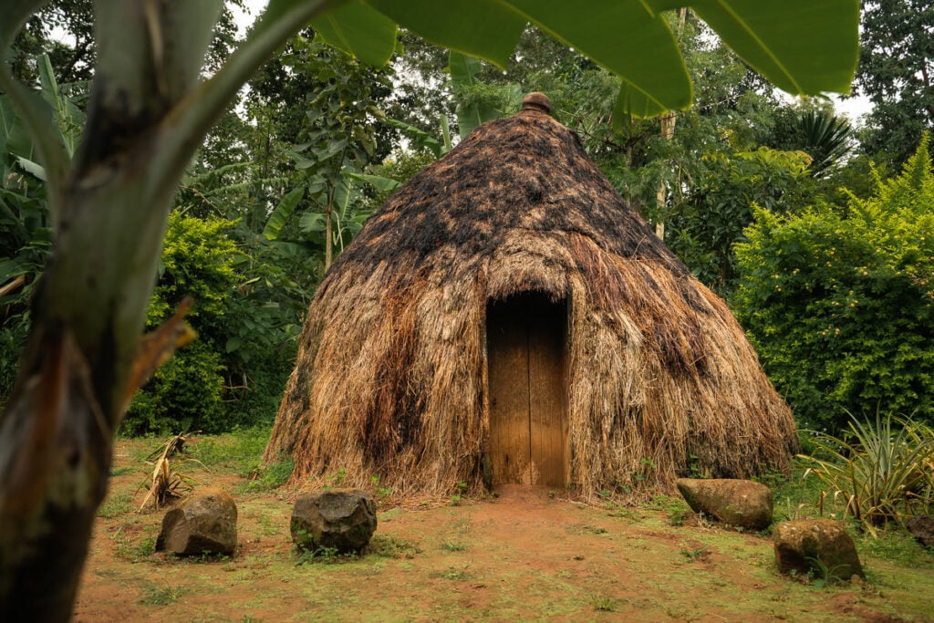 a thatched hut in the middle of a forest