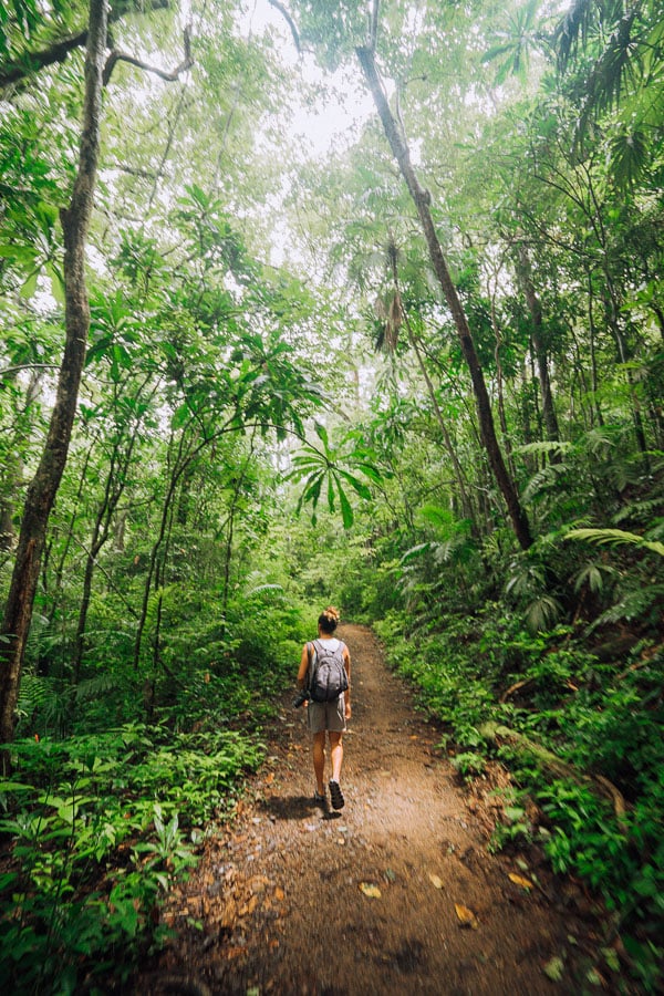 plantation walk in soberania national park