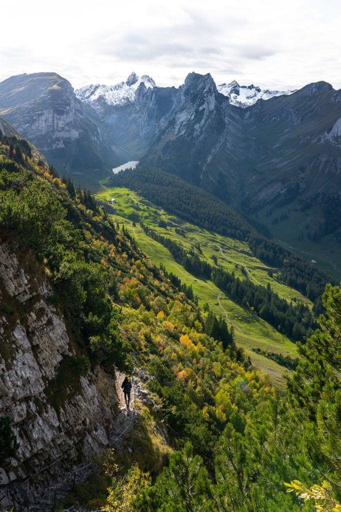 a scenic view of a valley and mountains.