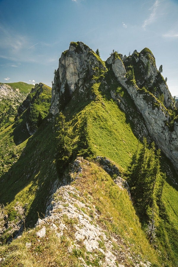 a person riding a horse on a grassy hill.