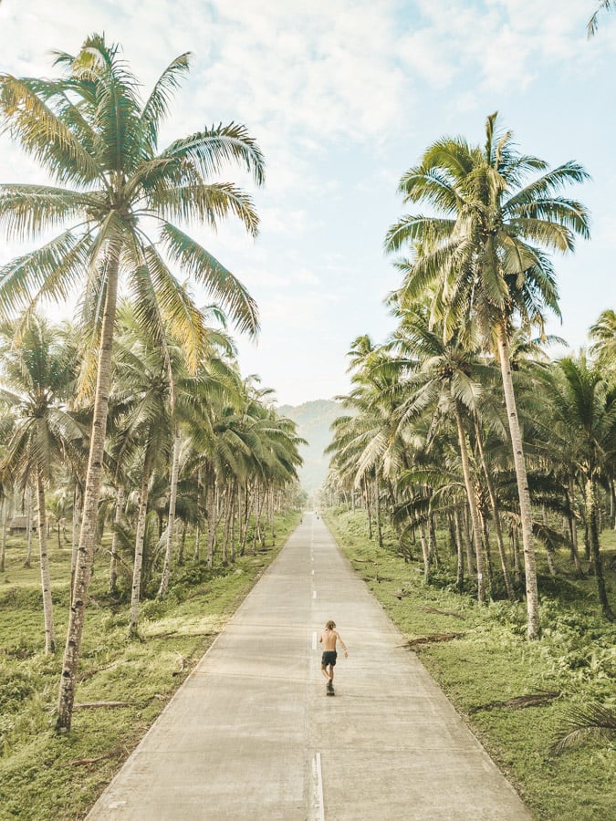 a person walking down a road lined with palm trees.
