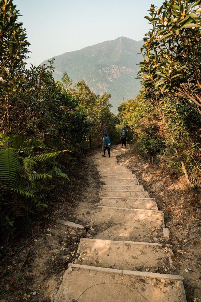 a person walking up a set of stairs.