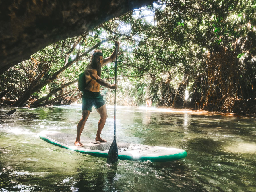to do in cairns, cairns australia points of interest, cairns attractions, cairns australia, top 10 things to do in cairns, top things to do in cairns, what to see in cairns, what to do in cairns, best things to do in cairns, things to do in cairns, 