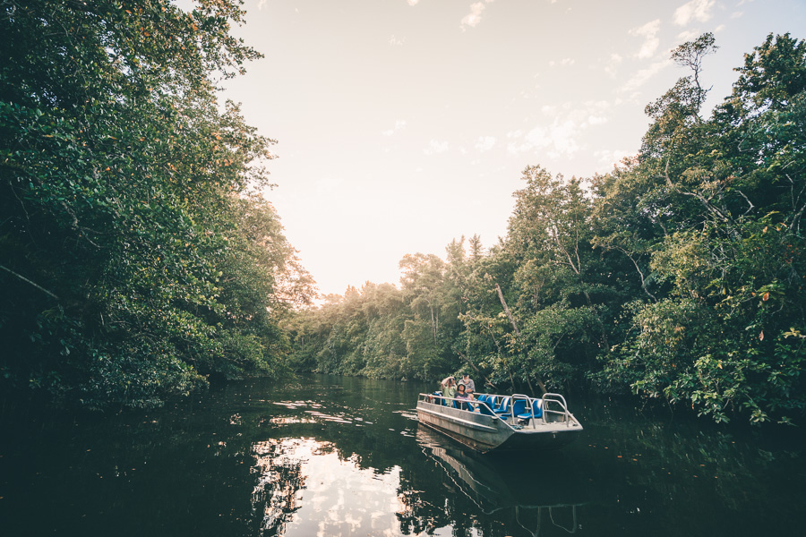 to do in cairns, cairns australia points of interest, cairns attractions, cairns australia, top 10 things to do in cairns, top things to do in cairns, what to see in cairns, what to do in cairns, best things to do in cairns, things to do in cairns, 