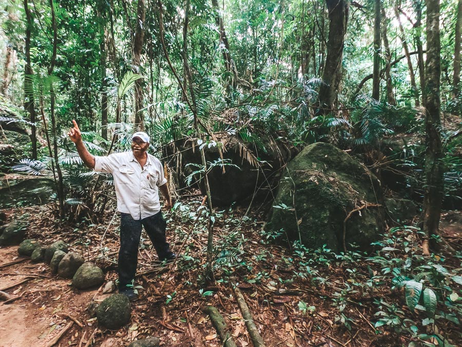 to do in cairns, cairns australia points of interest, cairns attractions, cairns australia, top 10 things to do in cairns, top things to do in cairns, what to see in cairns, what to do in cairns, best things to do in cairns, things to do in cairns, 