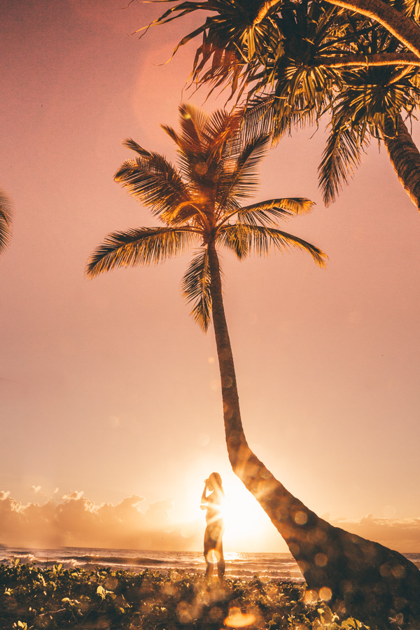 to do in cairns, cairns australia points of interest, cairns attractions, cairns australia, top 10 things to do in cairns, top things to do in cairns, what to see in cairns, what to do in cairns, best things to do in cairns, things to do in cairns, 