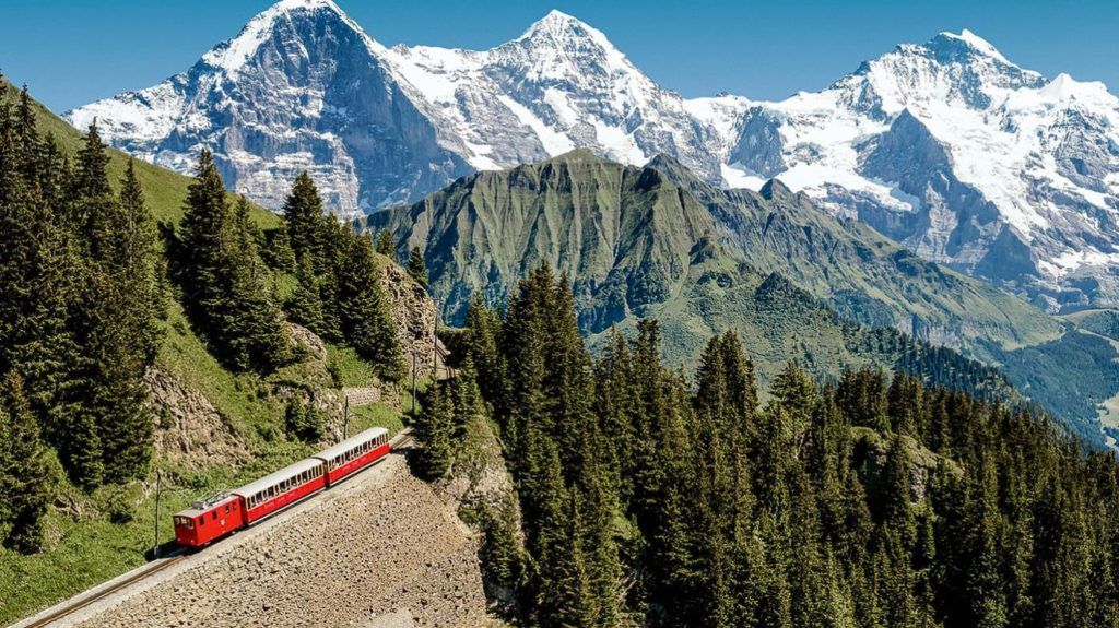 a red train traveling through a lush green forest.