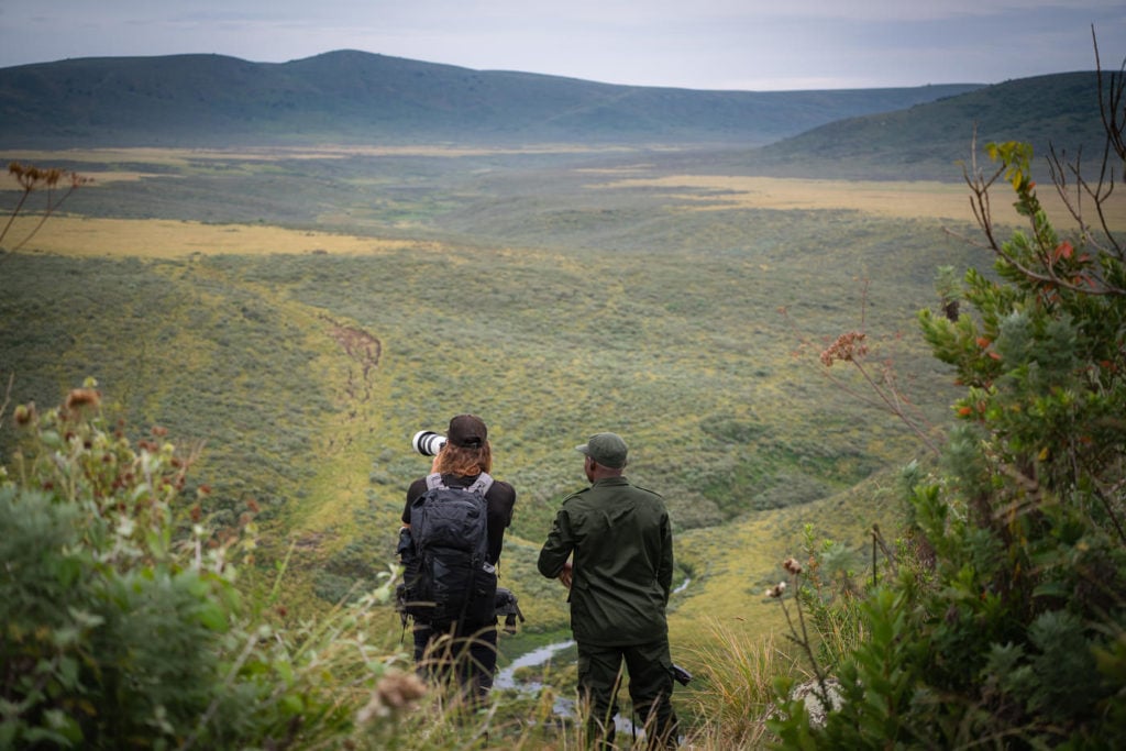 a group of men standing on top of a lush green hillside