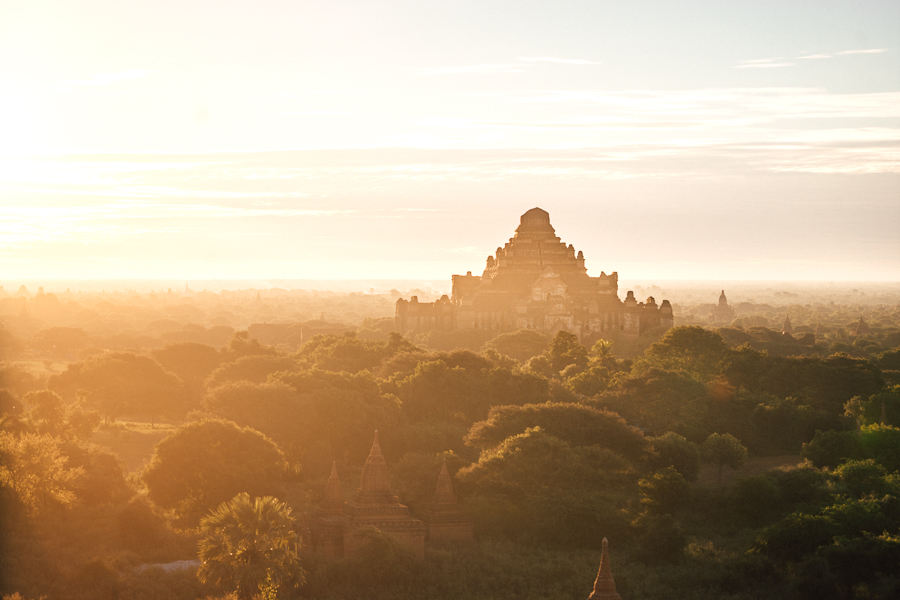 a view of a pagoda in the distance with trees in the foreground.