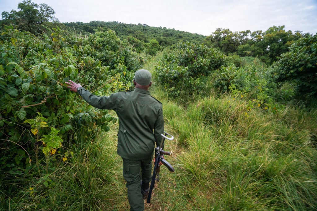 a man in a field with a gun in his hand