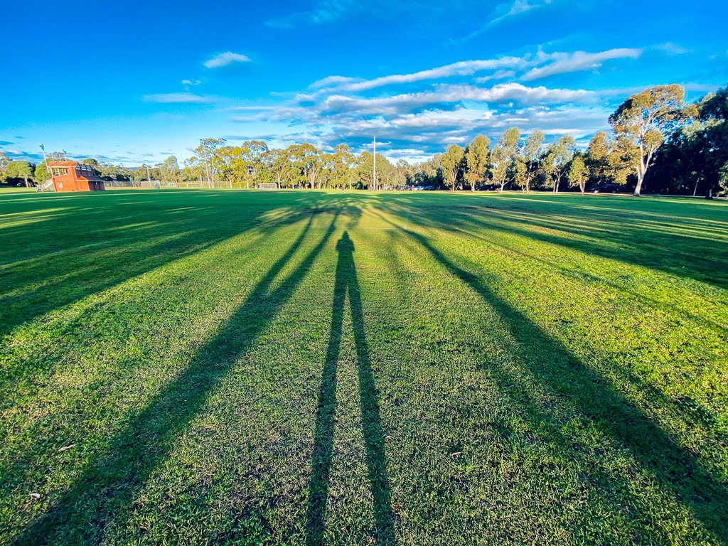 a grassy field with trees in the background.