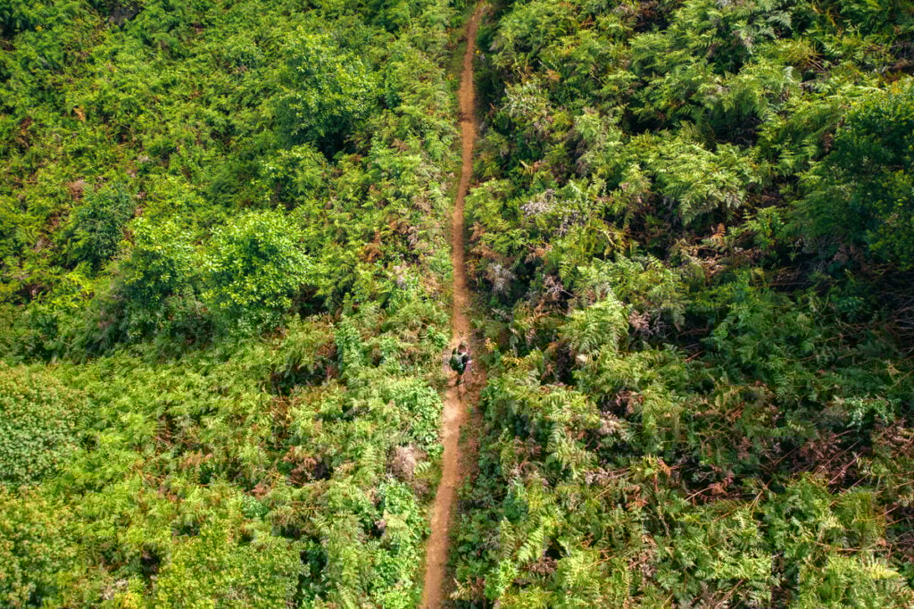 an aerial view of a dirt road surrounded by trees