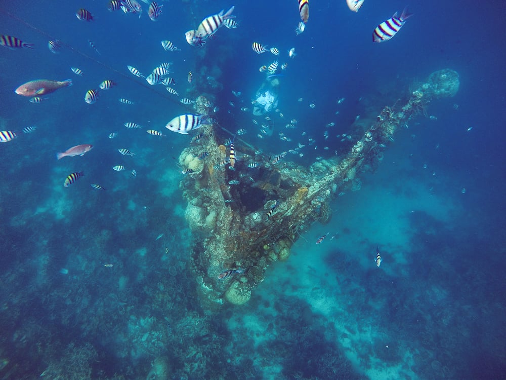 Coron, Coron tours, Things to do in coron, what to do in coron, coron island tour, kayangan lake, kayangan lake coron, coron beach, coron island hopping, coron map, malcapuya island coron, skeleton wreck coron, coron twin lagoon, coron city, coron what to do, island hopping coron,