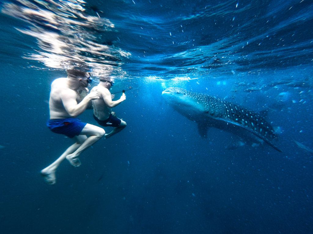 Oslob to bohol,Cebu to oslob ,Sumilon island oslob,Where is oslob cebu,Oslob where to stay,Oslob overnight stay