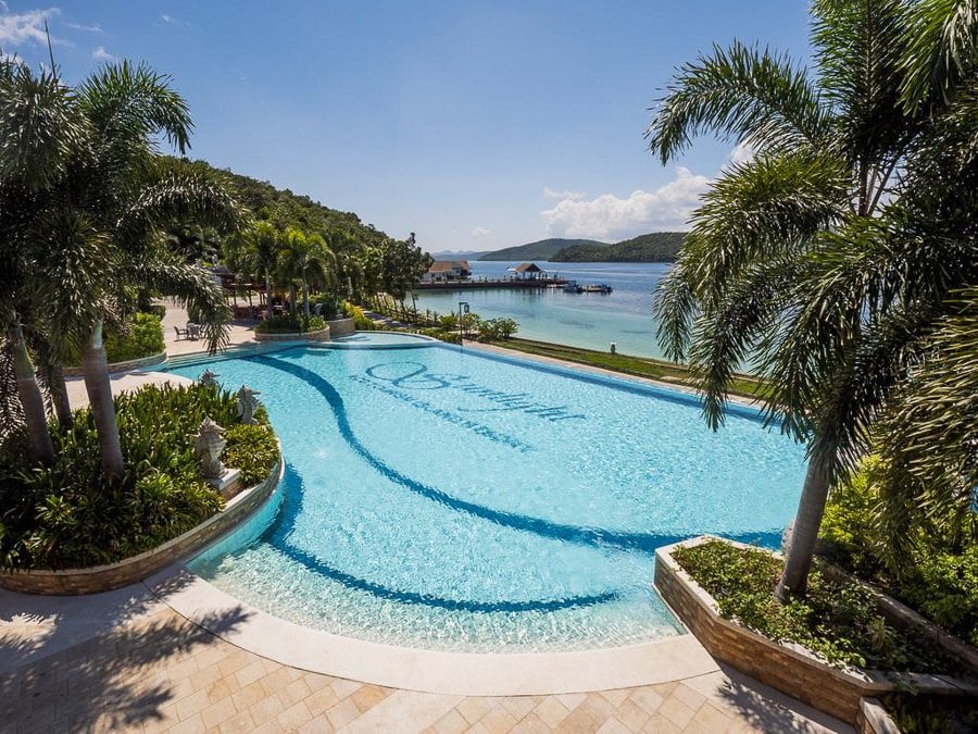 a large swimming pool surrounded by palm trees.