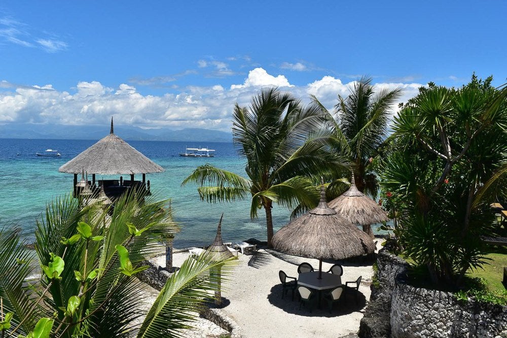 a view of a beach with a thatched hut and palm trees.